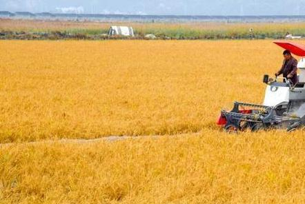 广西：开展农机技能培训 助力农机强农助农
